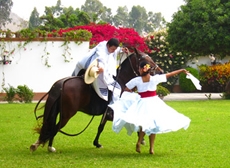 SHOW DE CABALLOS DE PASO &amp;  PACHACAMAC.