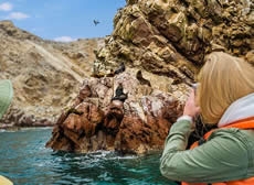 ISLAS BALLESTAS, SOBREVUELO LINEAS DE NAZCA &amp; VIÑEDOS